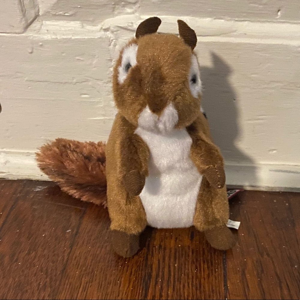 brown and white chipmunk